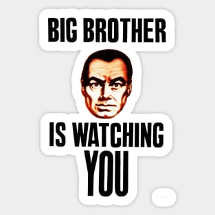 Big Brother is Watching You Sticker